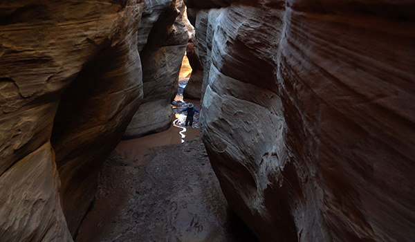 This is considered an “introductory” canyon but still requires technical expertise, use of ropes in one rappel, and a long swim. Fry Canyon is for people with experience canyoneering or traveling with a guide.